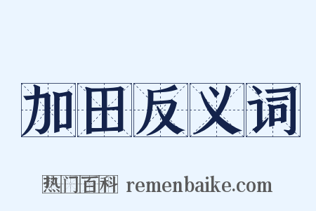 加田反义词是什么意思的图片